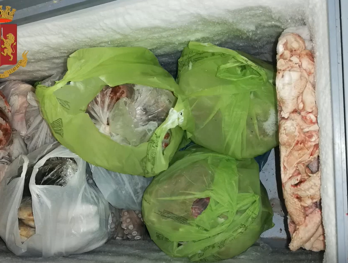 Controlli a San Salvario: sequestrati 200 chili di cibo mal conservato, multe per 63 mila euro