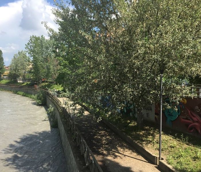 La Circoscrizione 4: “Più attenzione per la ciclabile dell'area ex Paracchi”