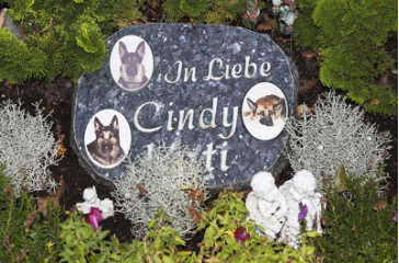 Cimiteri per animali all’interno di aziende agricole: dalla Regione è arrivato l'ok