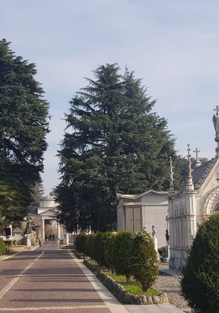 cimitero monumentale