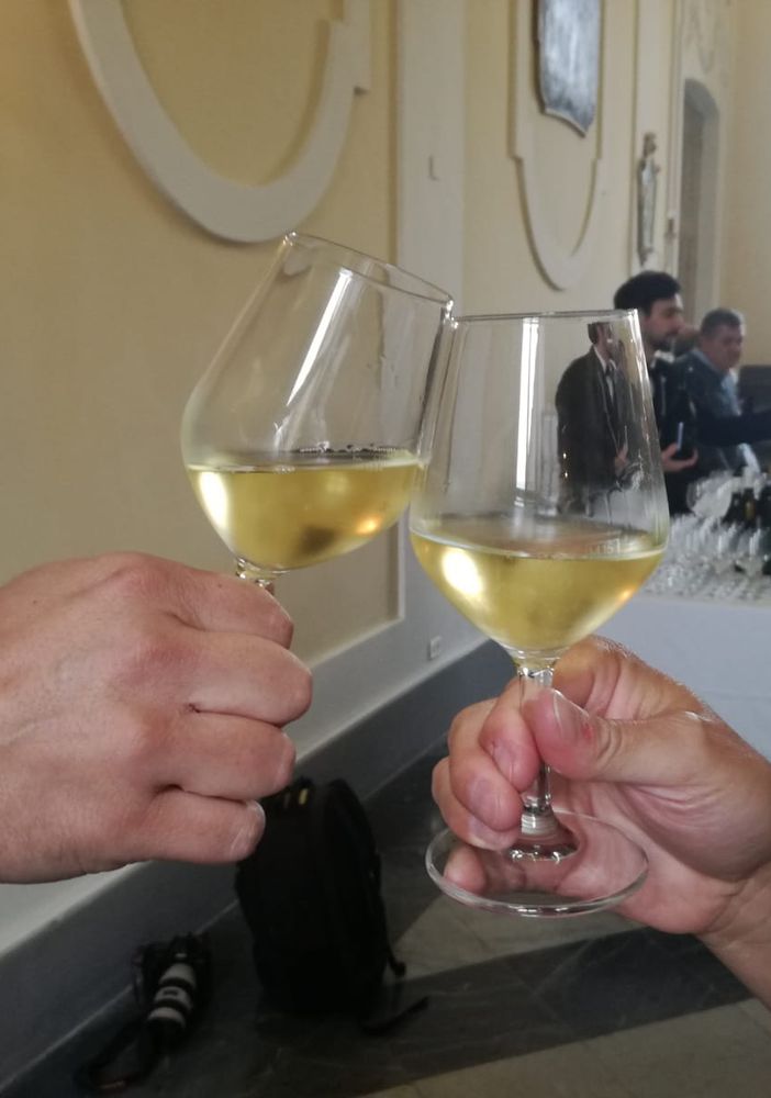 Il vino prende casa in centro città. E se nascesse un vigneto in piazzale Valdo Fusi?