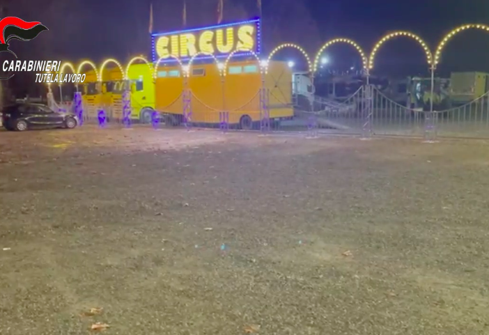 Disabato (M5S): &quot;Si intervenga per salvaguardare lavoratori e animali del circo Orfei&quot;