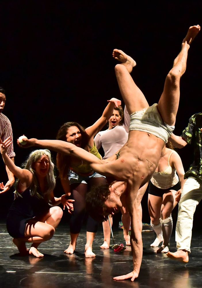 &quot;Puzzle&quot; Circo in Pillole