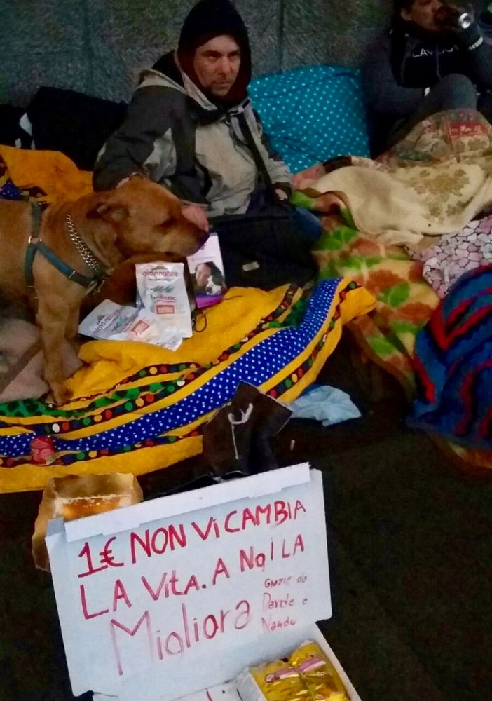 Via gli animali a chi chiede l'elemosina, Torino sospende la modifica al regolamento