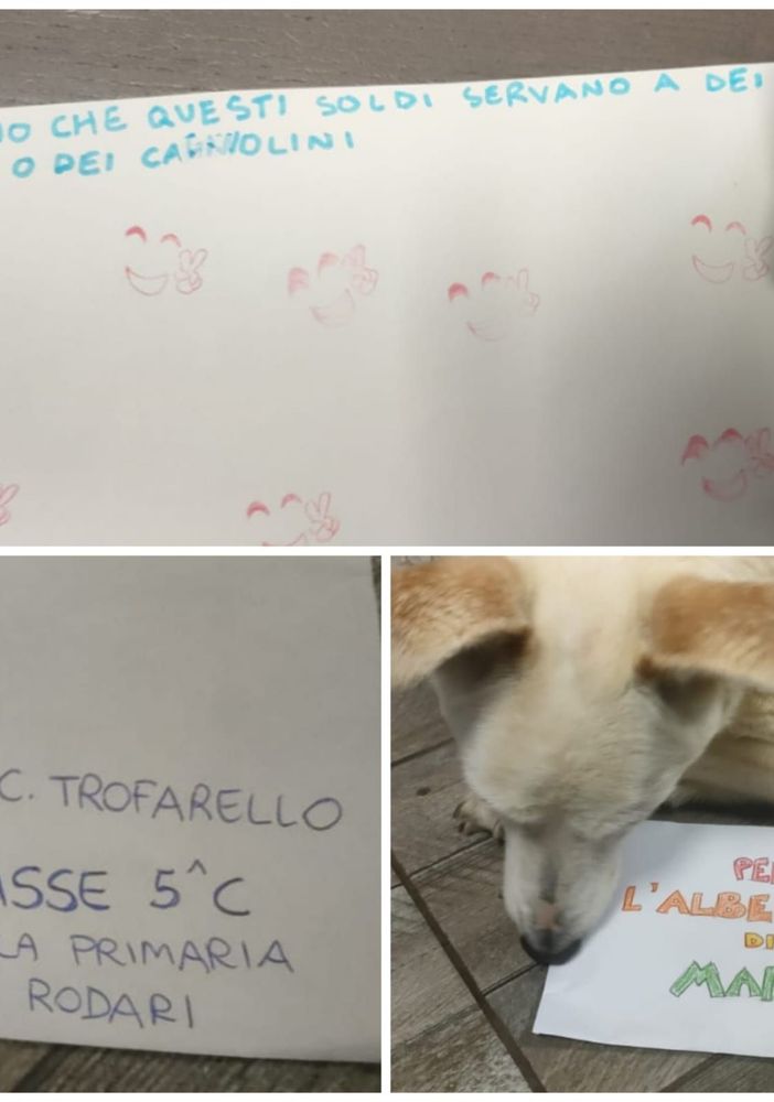 La generosità dei bambini corre incontro al canile rifugio di Moncalieri