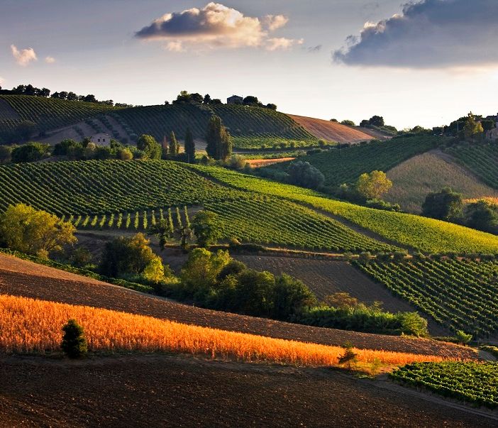 Il castello di Parella e il suo parco storico, in provincia di Torino, riaprono