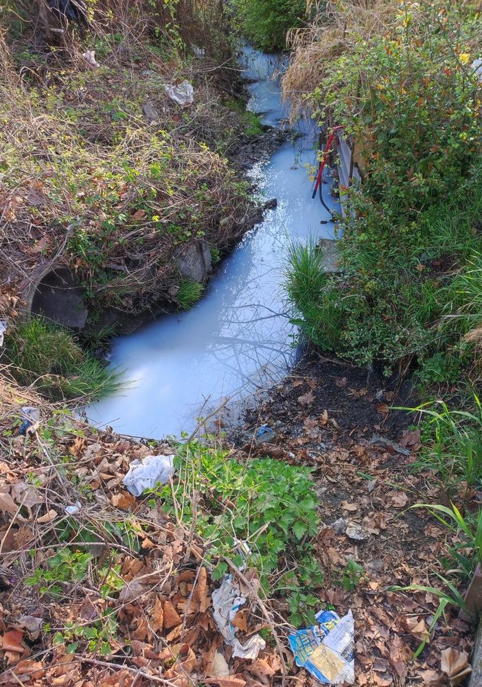 canale inquinato