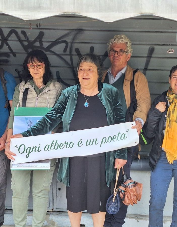 Finisce in tribunale il caso degli alberi di corso Belgio