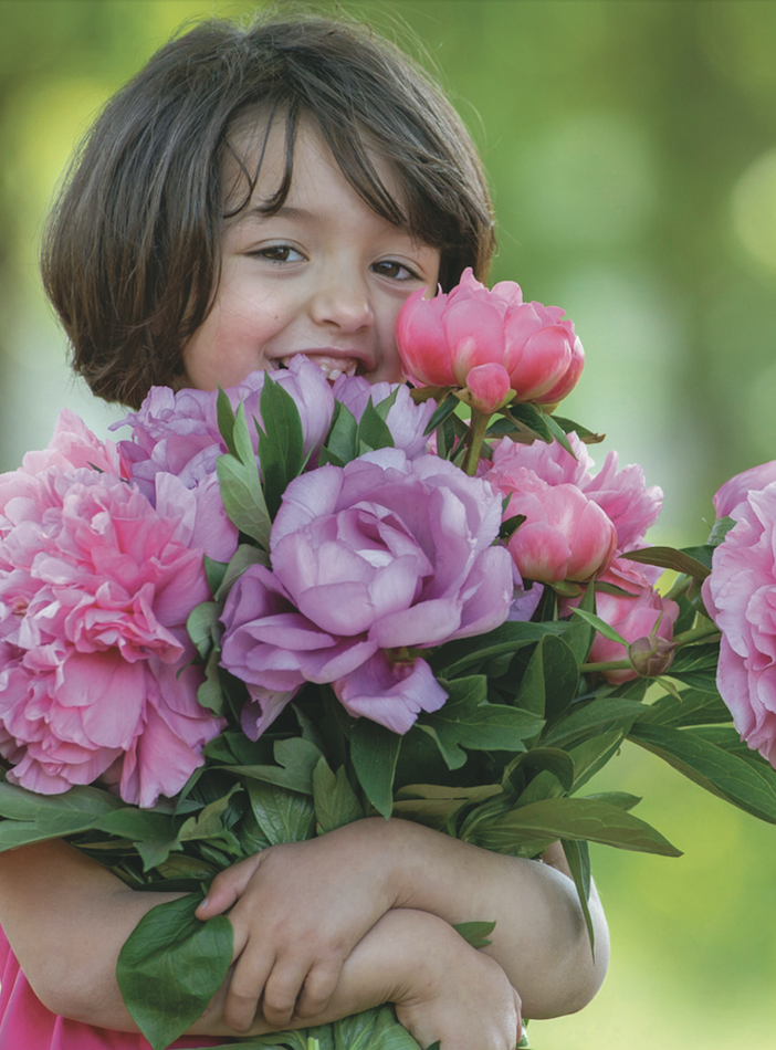 A Carmagnola, torna Peonie in fiore: esposte oltre 4 mila piante