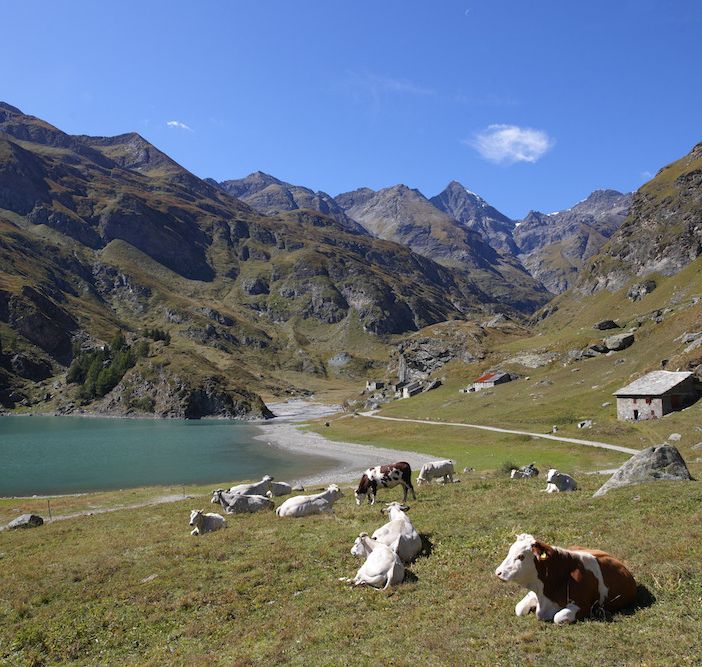 Strada provinciale Valle di Viù: slitta la riapertura del tratto tra Margone e Lago di Malciaussia