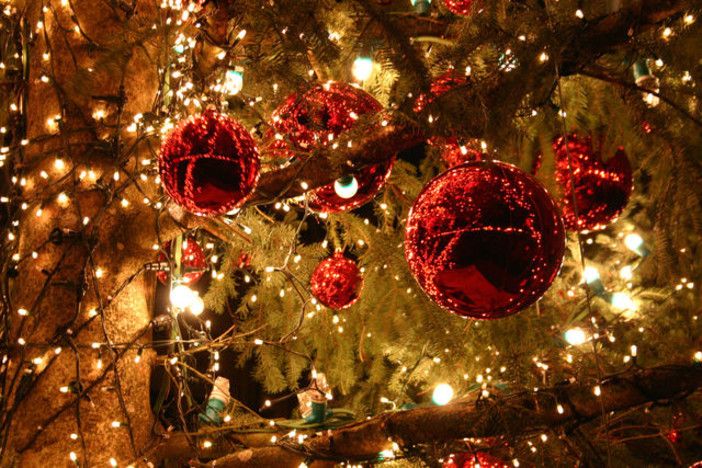 Arriva in Natale in Circoscrizione 8: dalla sfilata di Babbi sul Po, agli spettacoli itineranti degli artisti di strada