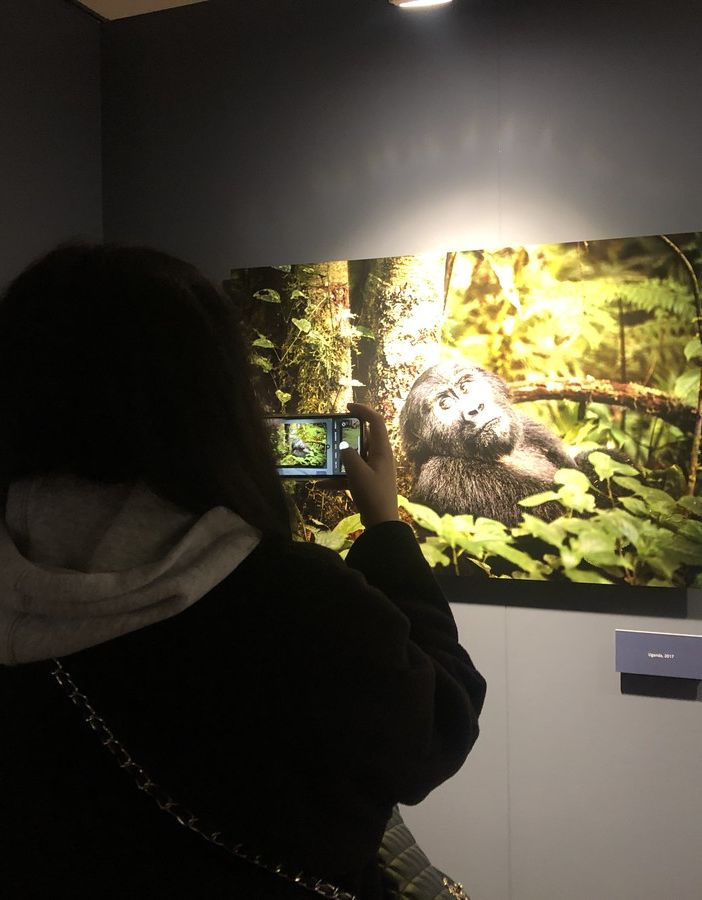 Le foto di Steve McCurry alla Palazzina di Caccia di Stupinigi