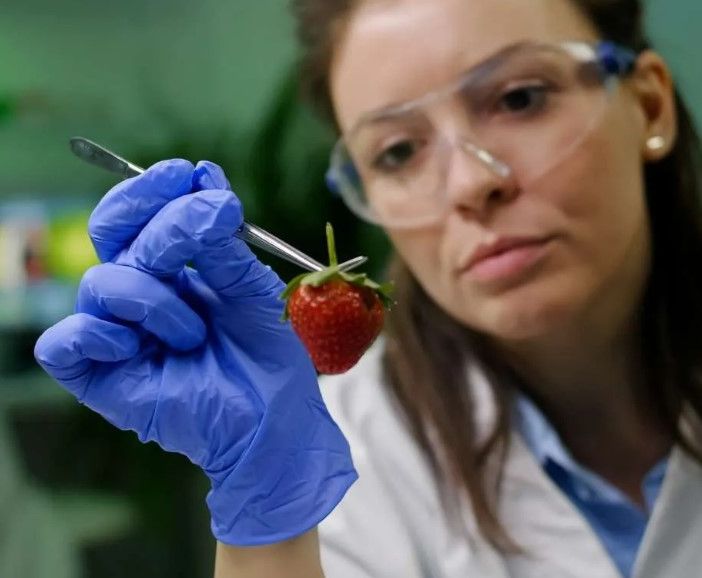 Sicurezza alimentare: tra Moncalieri, Nichelino e l'area sud oltre 2100 controlli