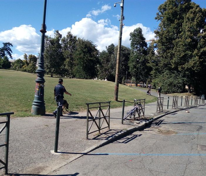 Un piano per la valorizzazione del parco del Valentino dopo la chiusura delle tre discoteche