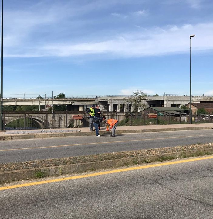 Moncalieri, completata l'analisi strutturale sul Ponte Nuovo