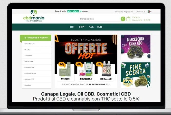 Perché avere un sito web? L’importanza della presenza online