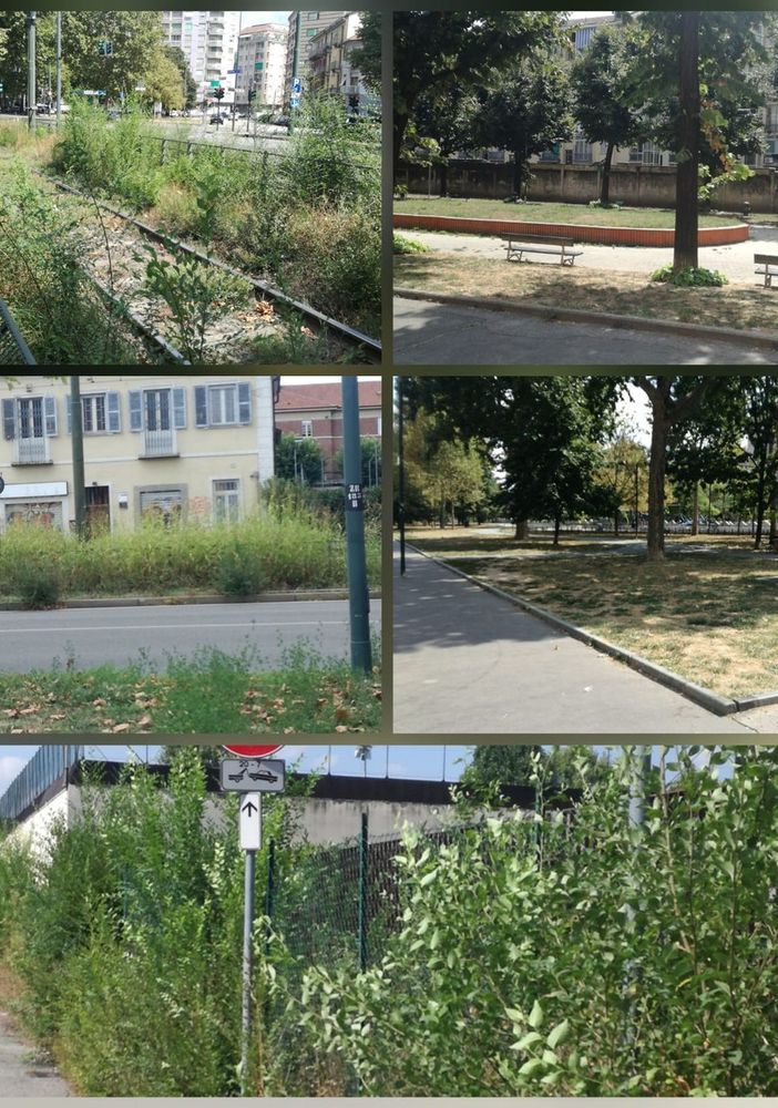 Aree verdi: borgo Filadelfia e dintorni promossi, ma con qualche riserva [FOTO]