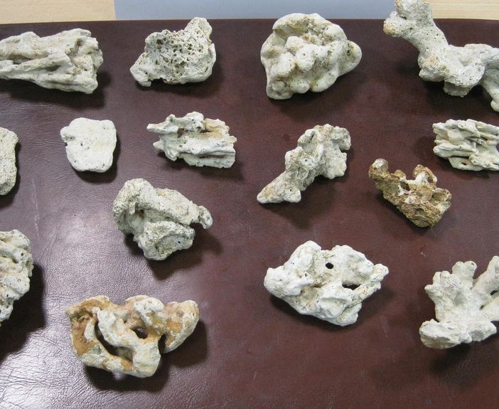 Souvenir vietati per una torinese di ritorno dal Messico: aveva coralli preziosi in valigia