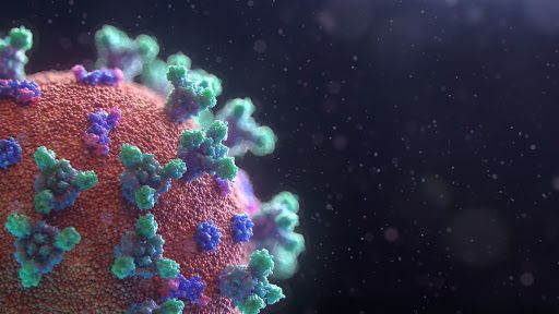 Coronavirus: in Piemonte più guariti e calano ancora i ricoveri in terapia intensiva, ma salgono i contagi e i decessi