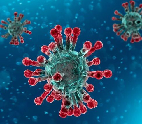 Università, un derivato fisiologico del colesterolo blocca il virus della Covid-19