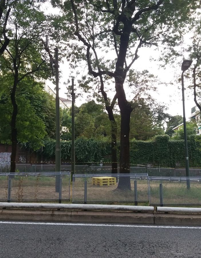 Corso Gabetti parco lineare, ma solo per poco: il Comune promette il ritorno del tram