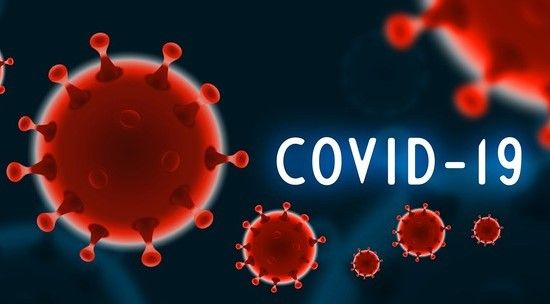 Covid in digitale