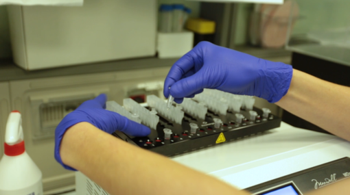 Ricerca scientifica con provette