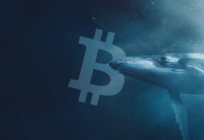 Le balene avevano capito tutto e si erano fiondate su BTC appena era sceso sotto 70 mila dollari