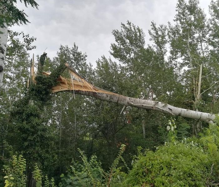 Maltempo: alberi abbattuti e blackout in Valle Soana