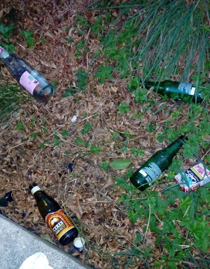 Bottiglie abbandonate, canestri rotti e deiezioni canine: richiesto intervento della municipale in via Venaria