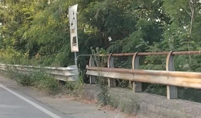 erba alta e degrado