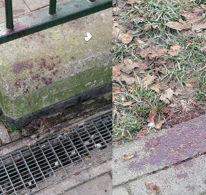 Trovate anche tracce di sangue, forse risultato di una rissa