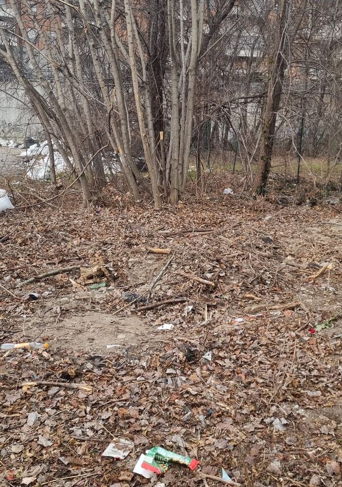 Immagini di degrado e rifiuti abbandonati in via Orvieto