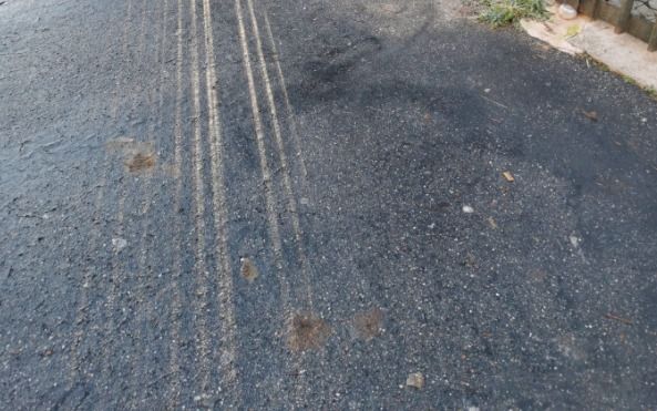deiezioni canine in via carutti