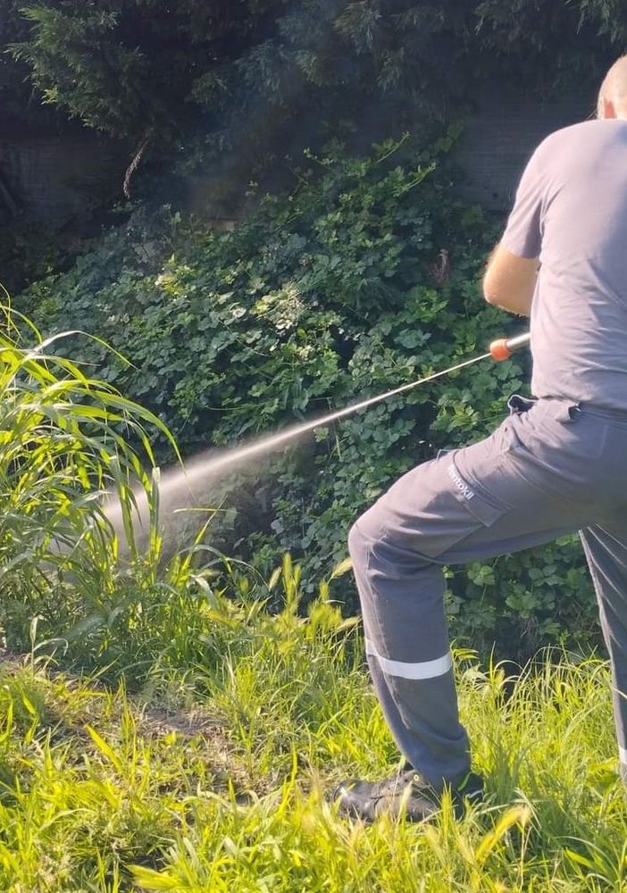 disinfestazione moncalieri