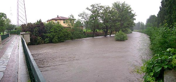 Appuntamento domenica 8 aprile con l'escursione &quot;Parco della Dora&quot;