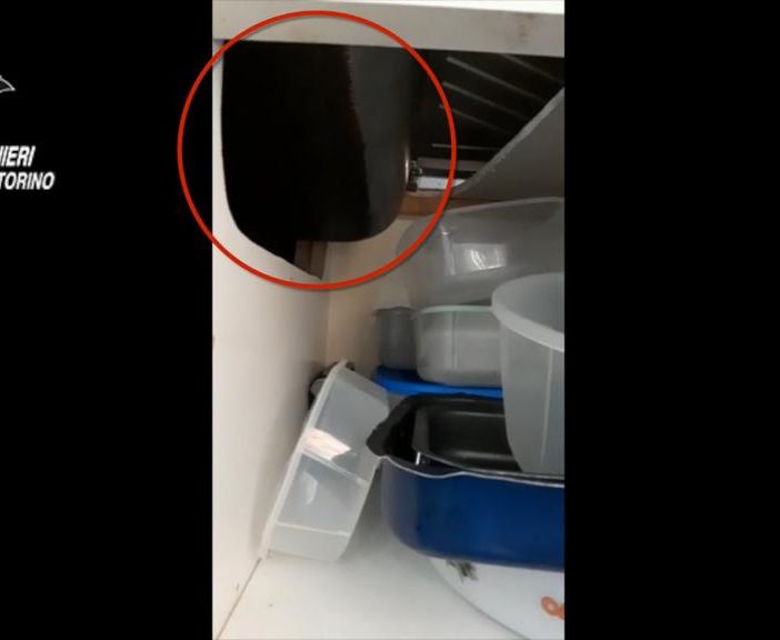La droga stava nel sottofondo del lavello, ma non è bastato a ingannare il fiuto di Jackie [FOTO e VIDEO]
