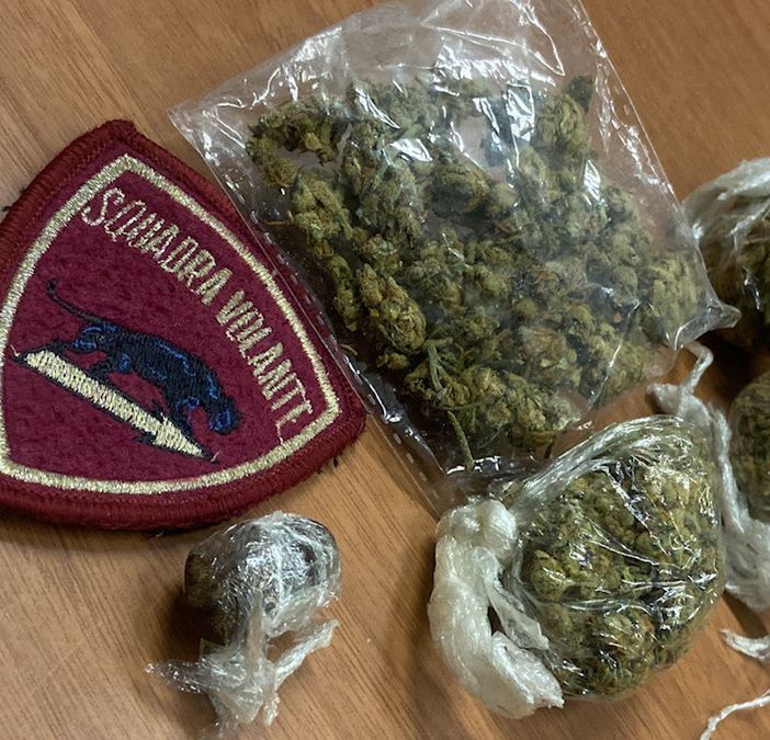 droga ritrovata dalla polizia