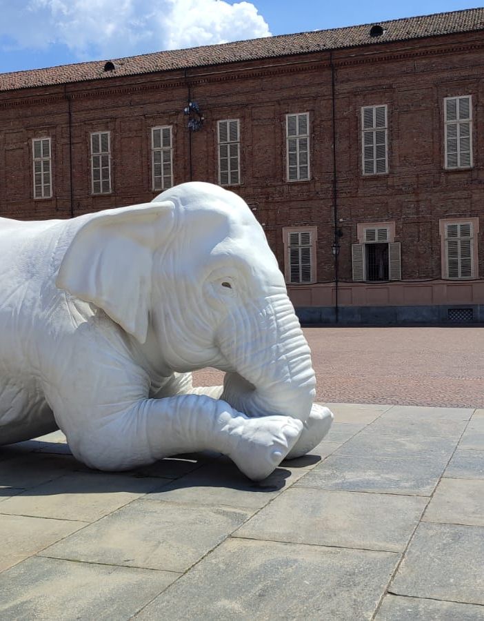 Piazzetta Reale: dopo il restauro, il bambino &quot;è tornato a leggere all'elefante&quot;