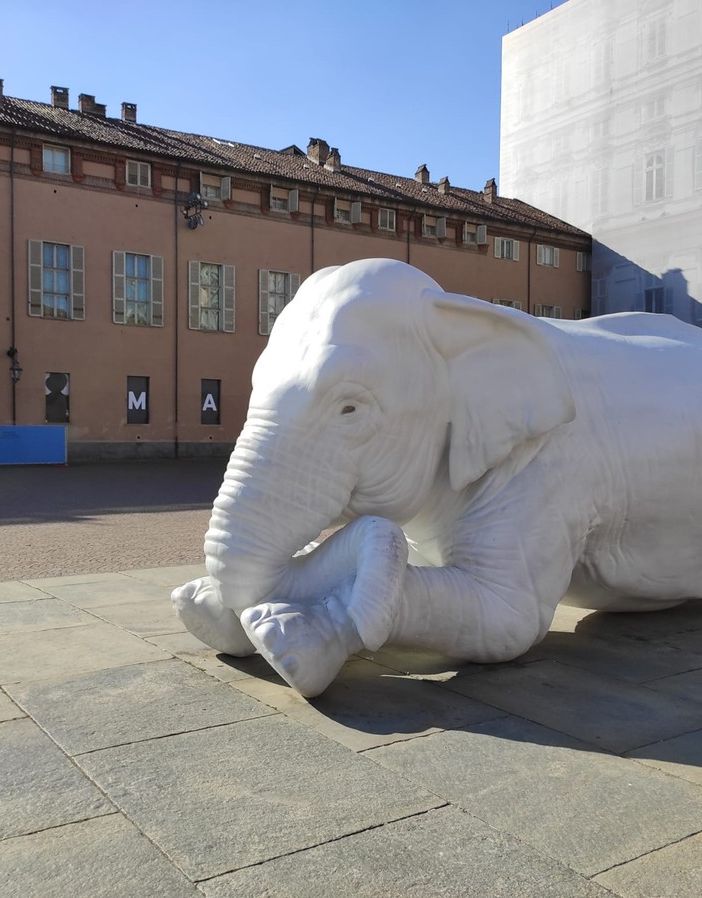 Giallo in piazzetta Reale, sparito il bimbo “che leggeva all’elefante”: la spiegazione