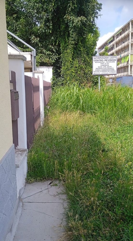 Erba alta e arbusti di oltre un metro: è emergenza verde a Nichelino