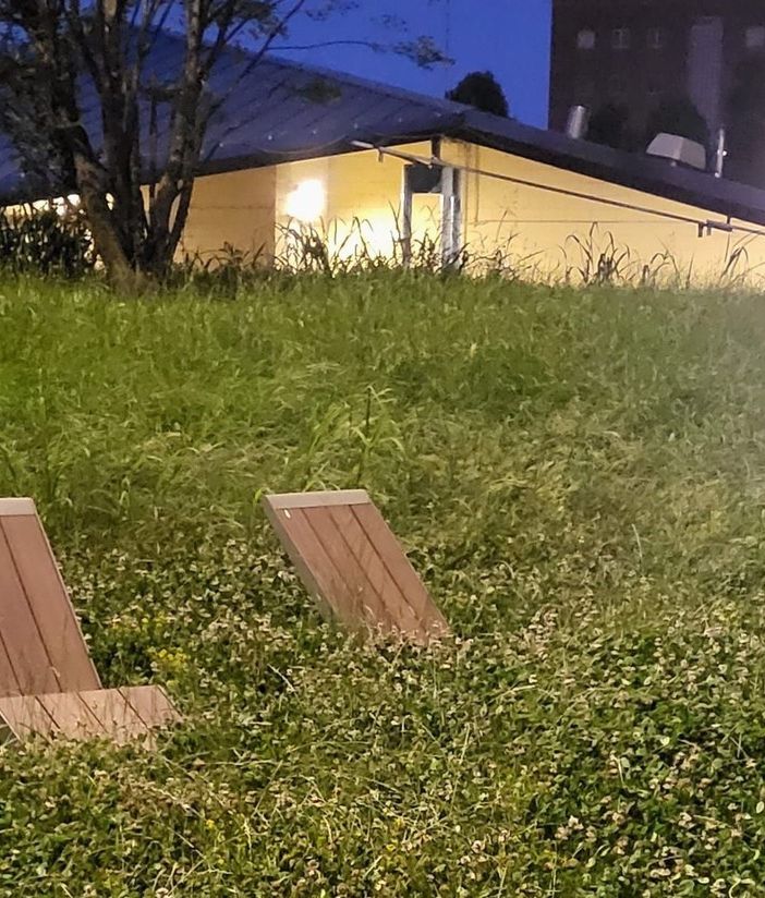 erba alta nichelino piazza moro