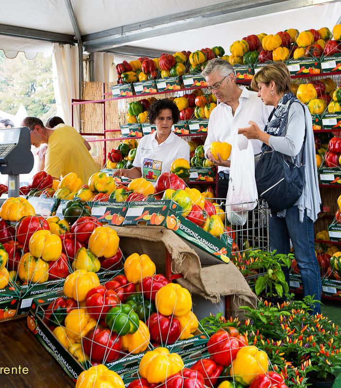 Il Consiglio metropolitano chiede l'istituzione del distretto del cibo del Chierese e Carmagnolese