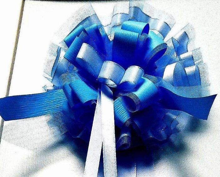 Fiocco azzurro in Sala Rossa: il capogruppo dei Moderati Magliano diventa papà di Martino