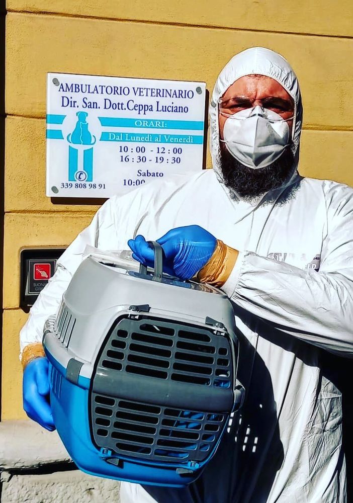 A Nichelino la storia a lieto fine del gatto Bagheera, salvato nonostante i padroni positivi al coronavirus