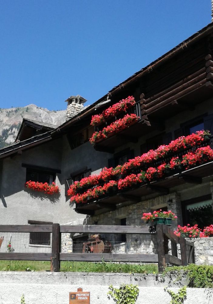 Ditelo con i fiori: Torino trionfa con un turismo che punta sulla natura come biglietto da visita
