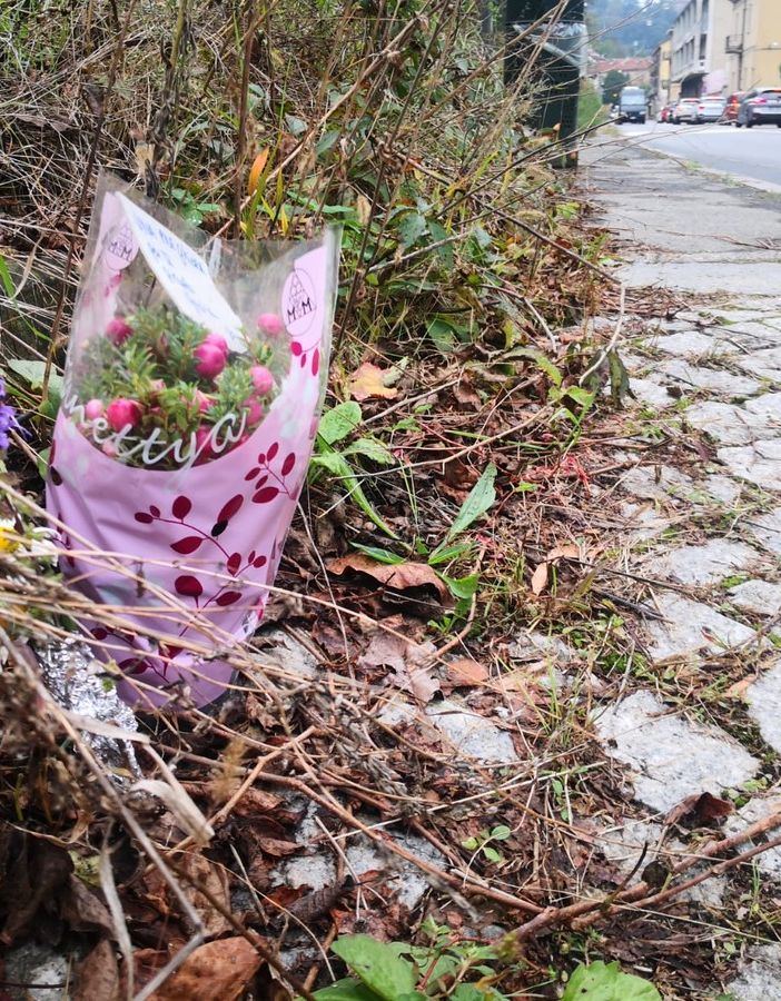 fiori in corso casale