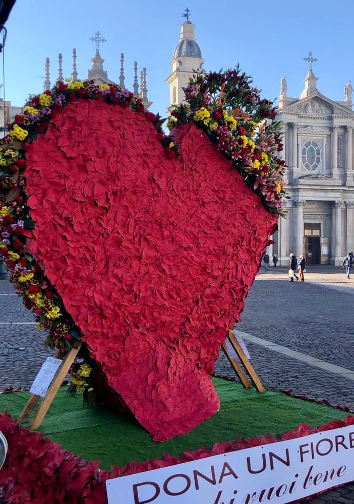 Un cuore nel salotto di Torino: i fiorai celebrano San Valentino, ma lamentano anche cali di fatturato del 30%