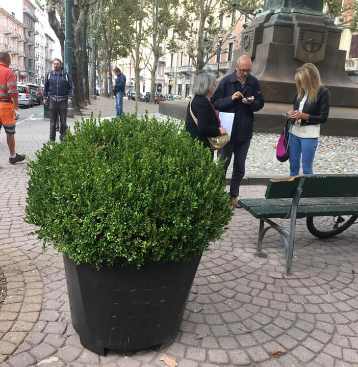 Cinque nuove fioriere per arricchire il verde di via Madama Cristina