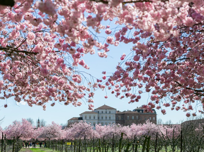 Meteo, con un po' di ritardo ecco che si affaccia la primavera